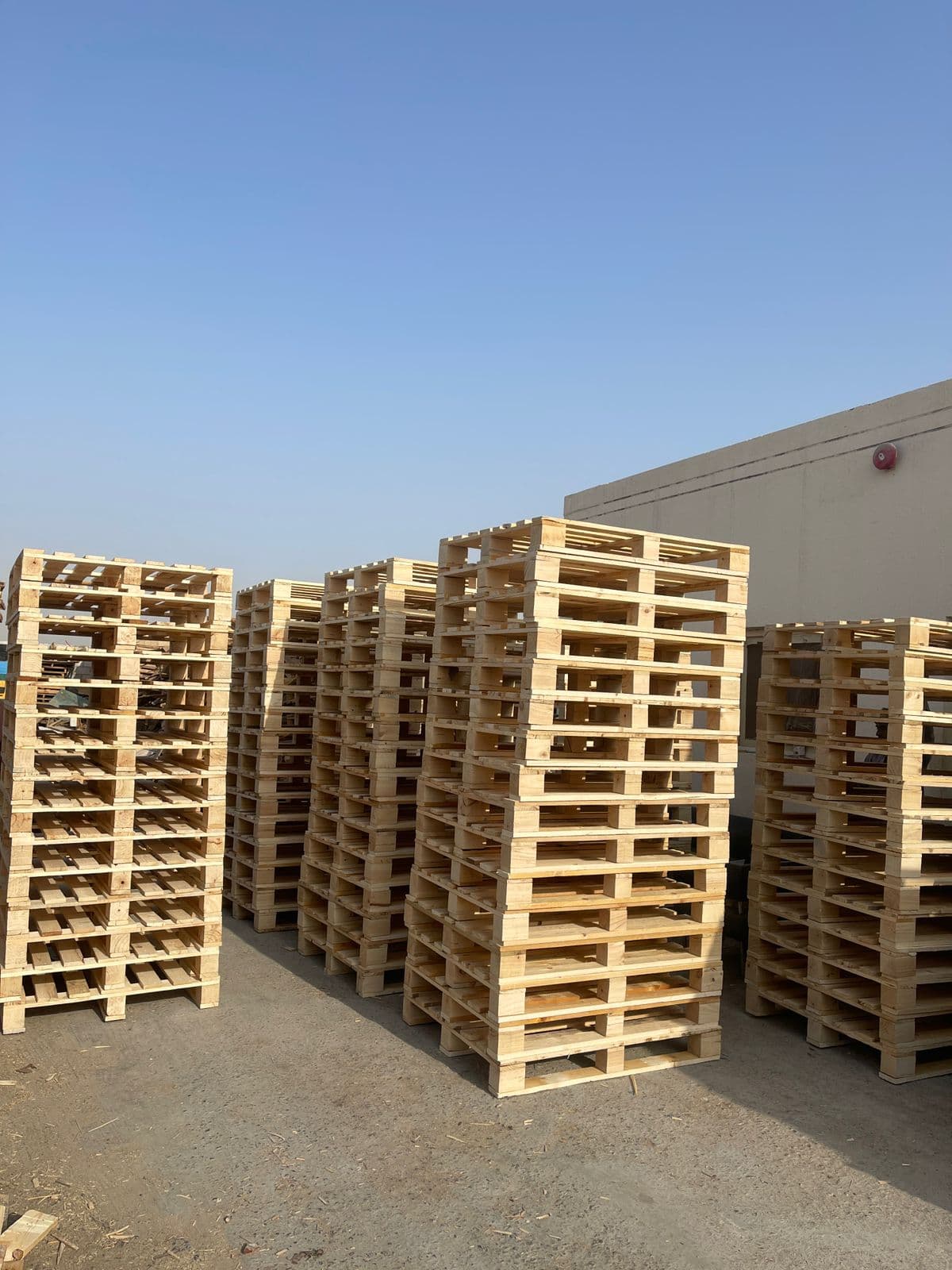 Rows of newly built wooden pallets in standard sizes stacked at the Sharjah yard