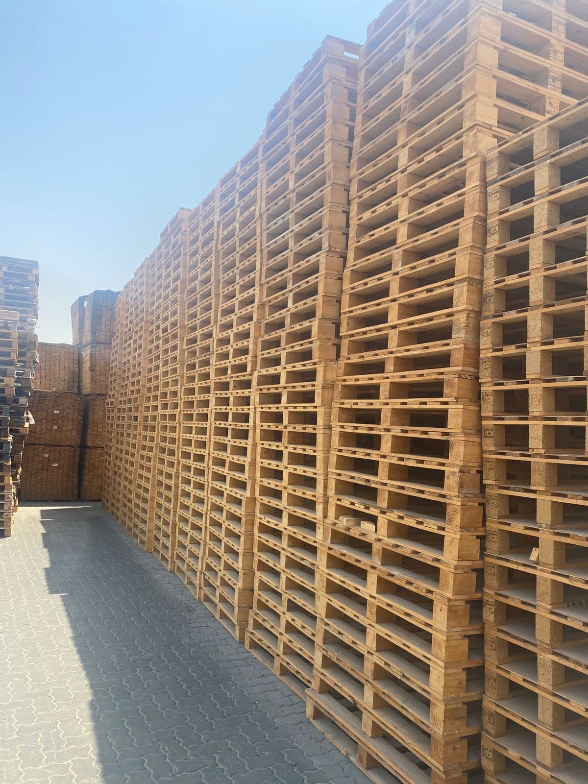 Rows of used wooden pallets stacked high in the Khan Pallets yard in Sharjah